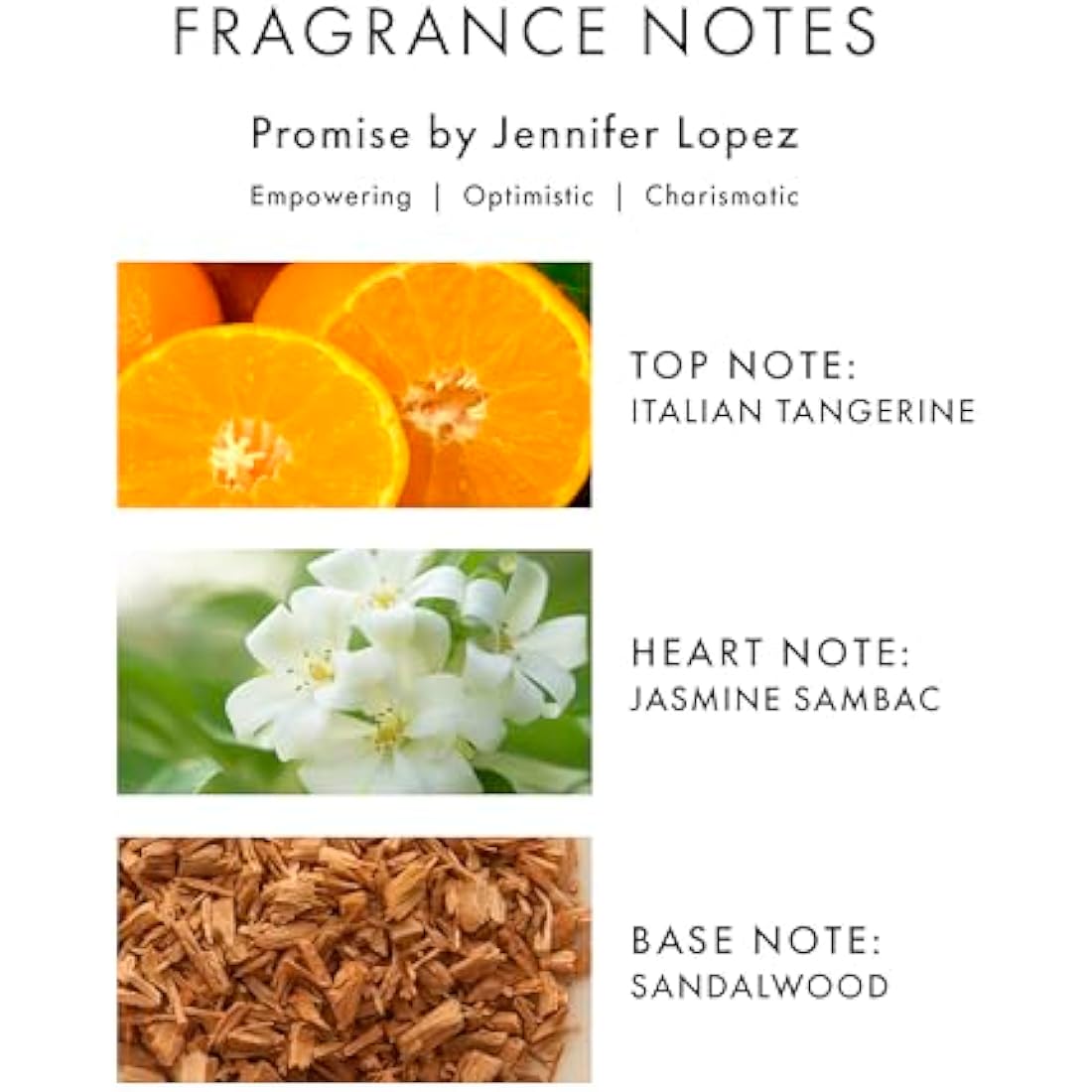 Jennifer Lopez Promise Eau De Parfum Spray, 100ml Fine Fragrance from an Approved Stockist