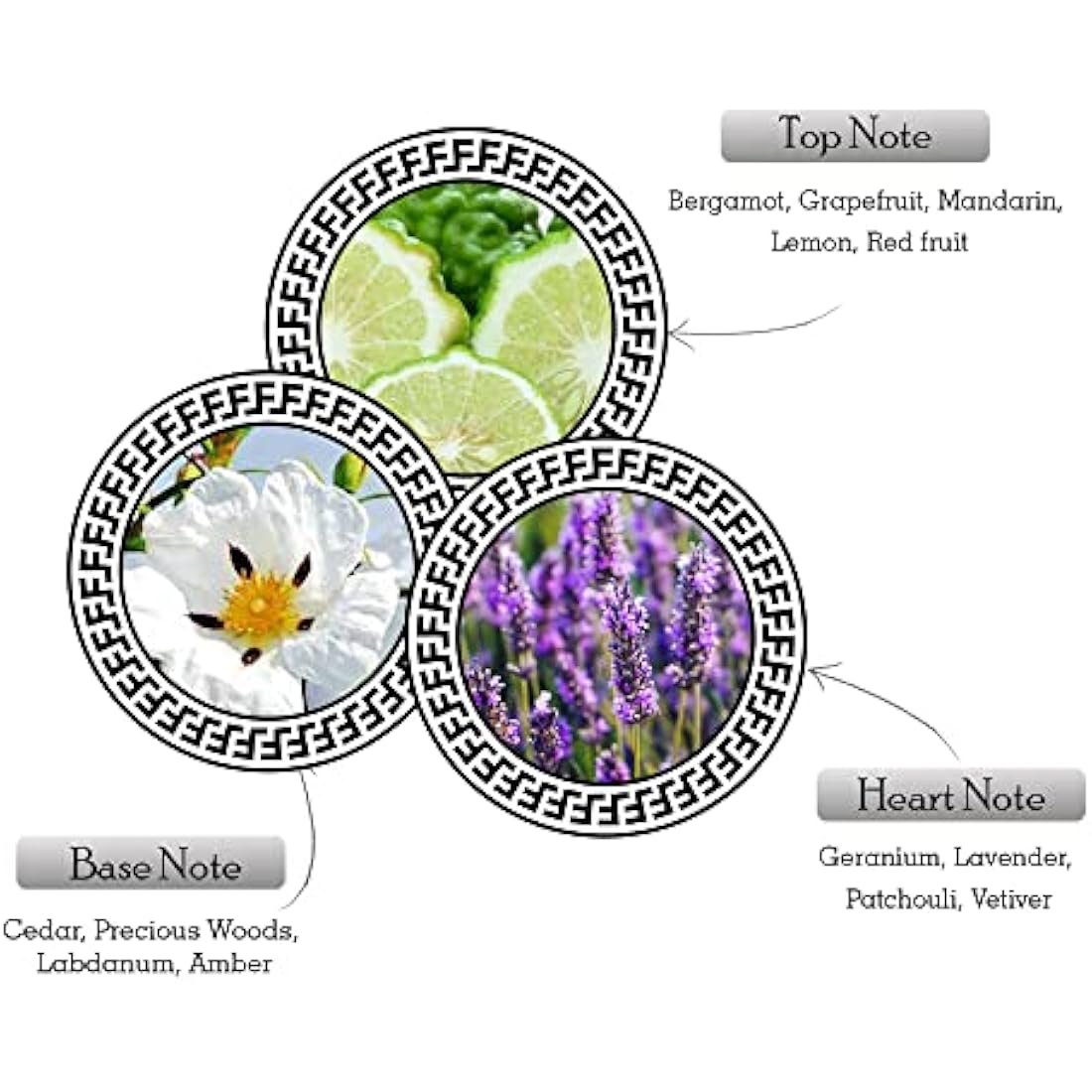 ARMAF Ventana Pour Homme Eau De Parfum, 100ml